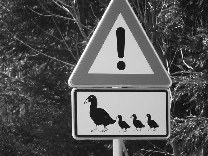 Straßenschild Enten